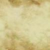 Textures 221
